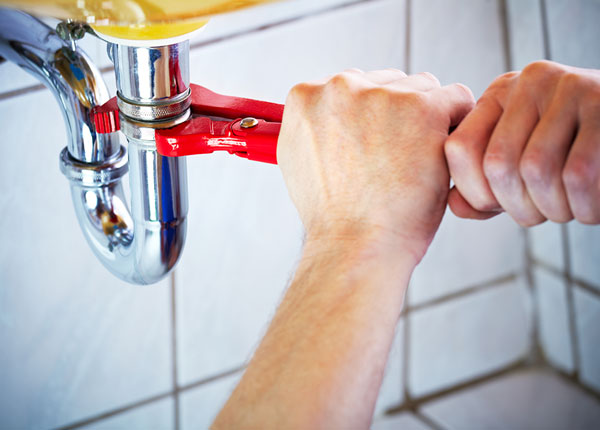 About Ward Plumbers